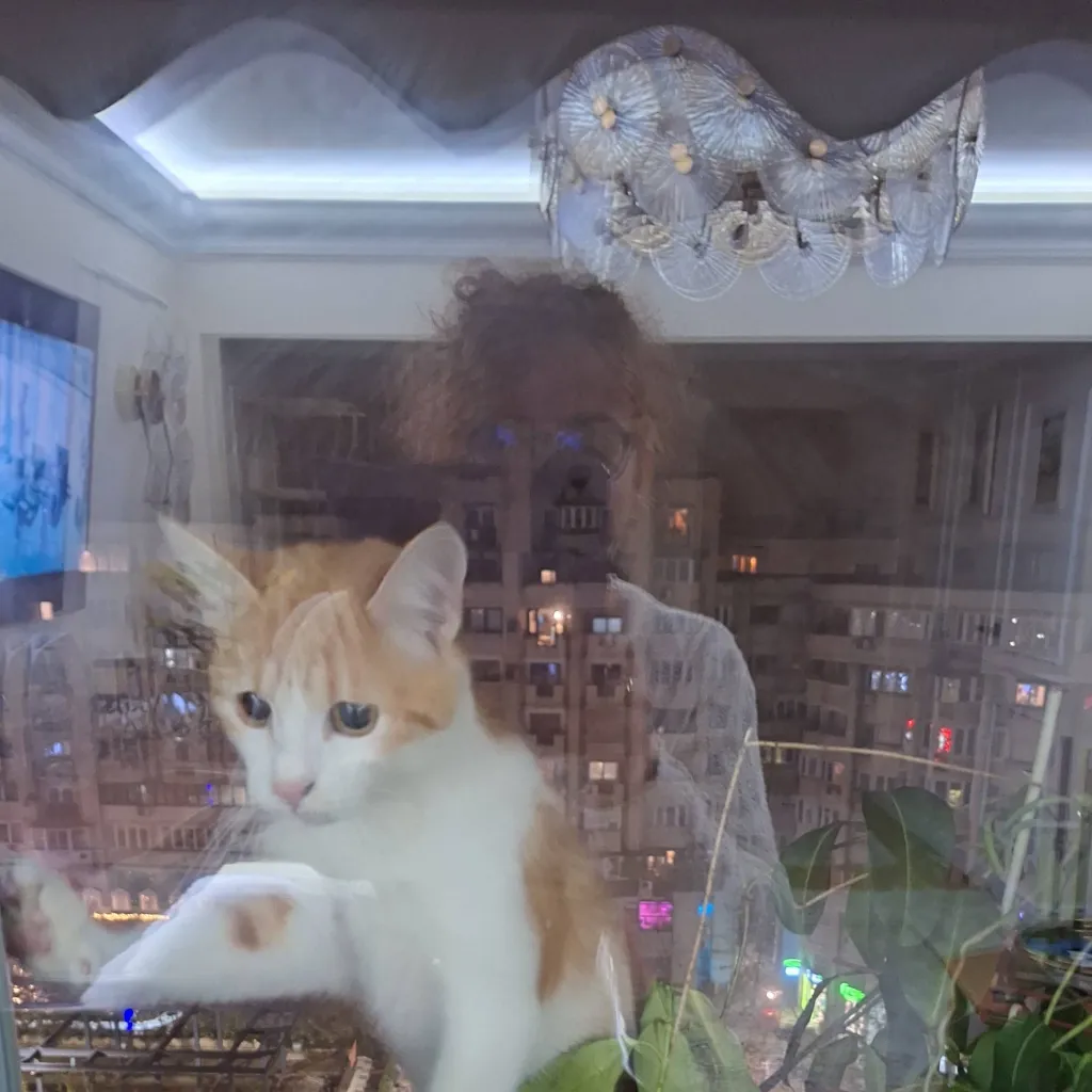 chat with ai character: Bella 