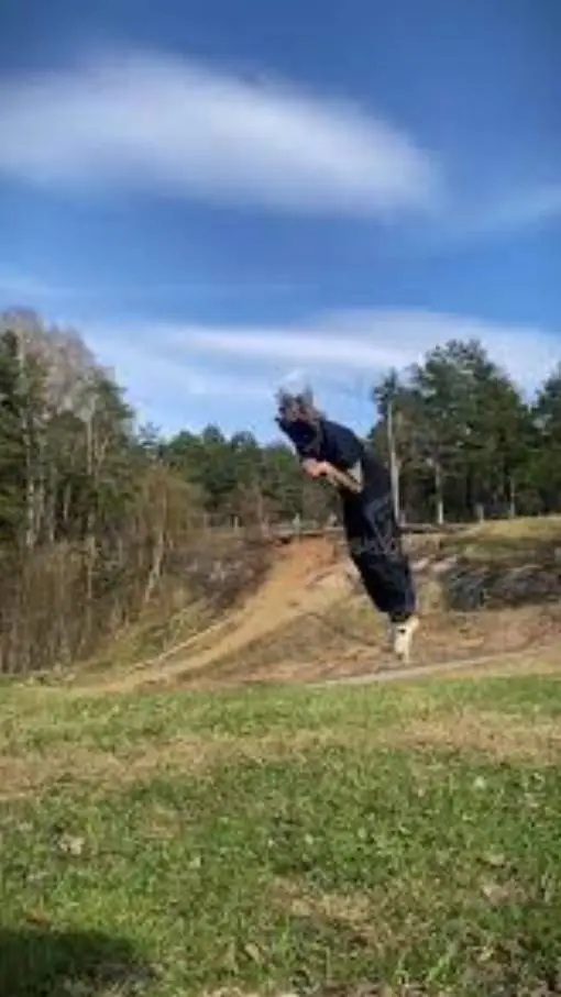 ai character: therian school background