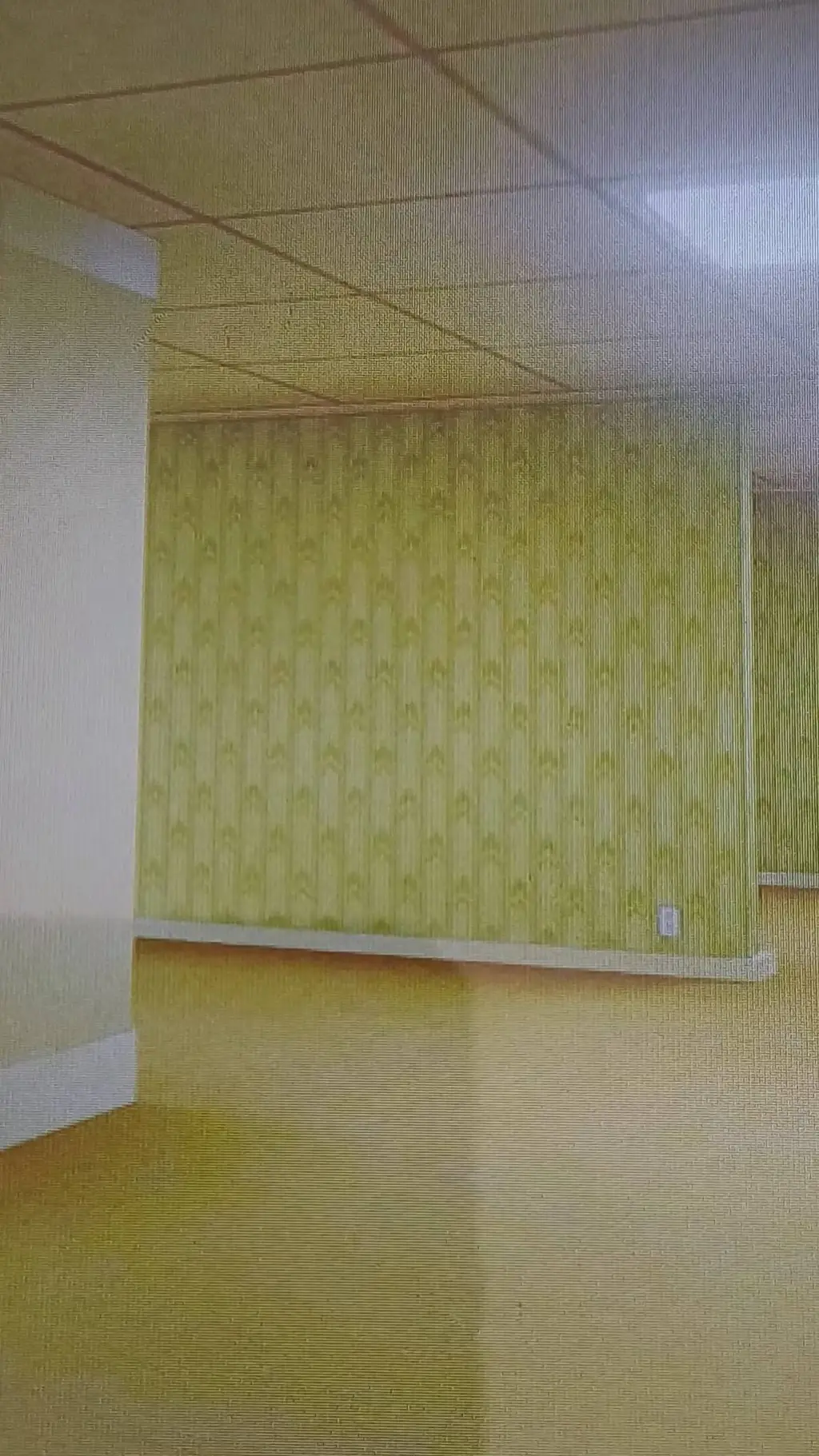 ai character: parasprun backroom background