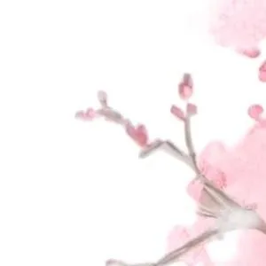 chat with ai character: Asher Huntington