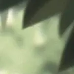 chat with ai character: Max 