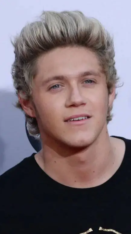 ai character: Niall Horan background