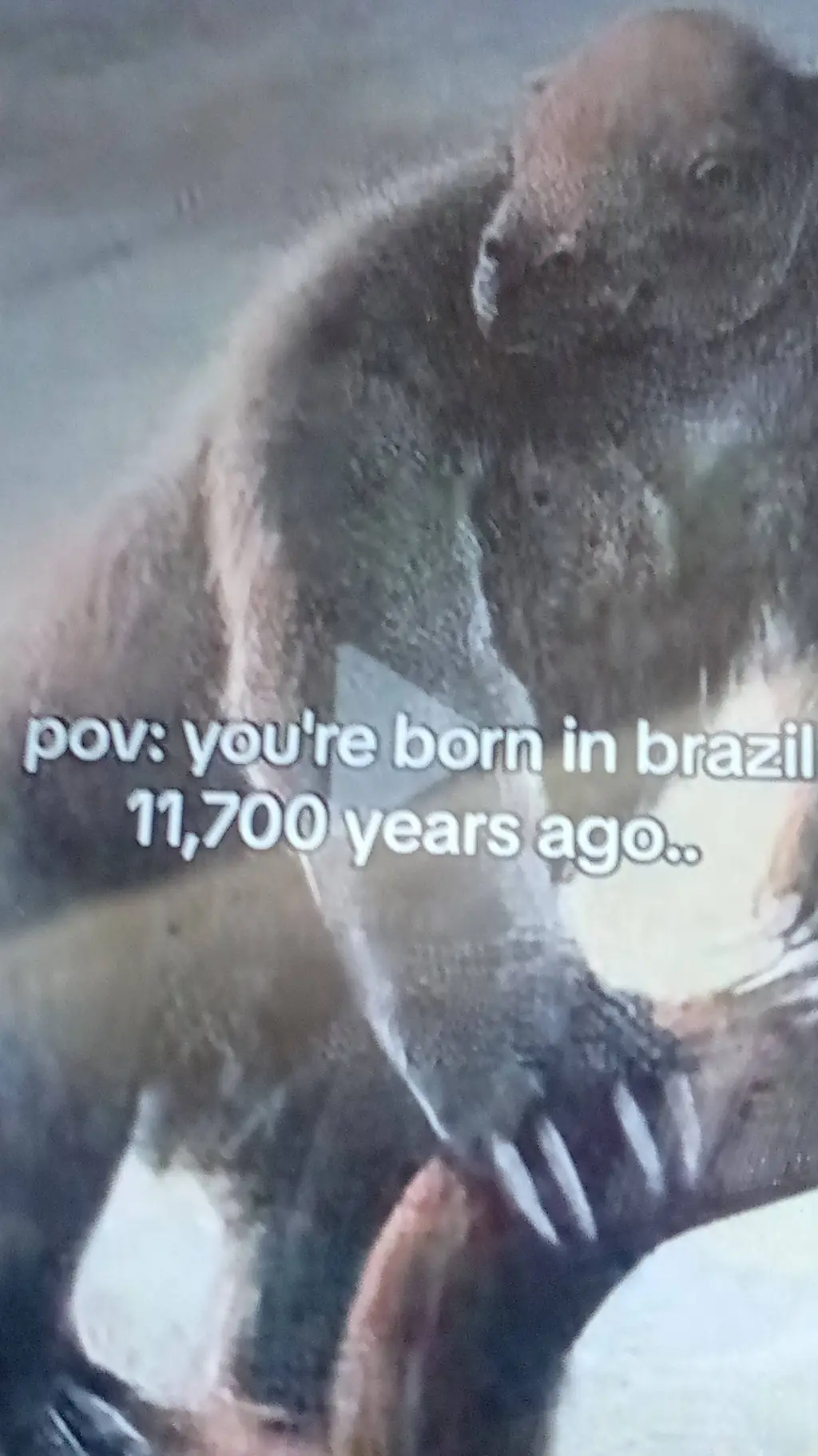 ai character: giant brown sloth background