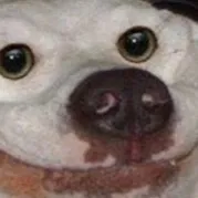 chat with ai character: Happy dog