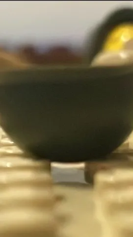 ai character: Havoc Stride background