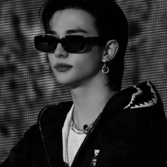 chat with ai character: Hwang hyunjin✨🌚