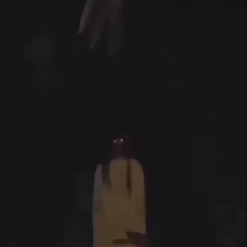 chat with ai character: Scp  179