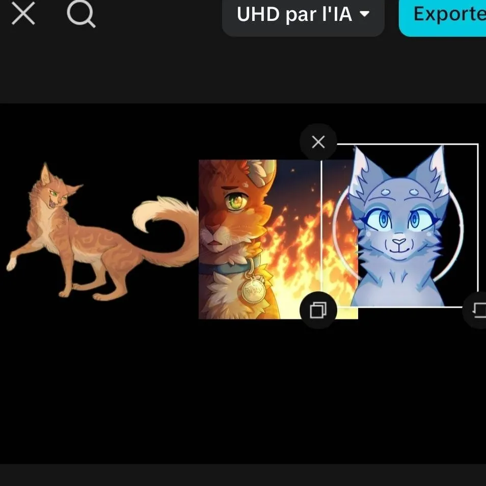 chat with ai character: le trios parfait