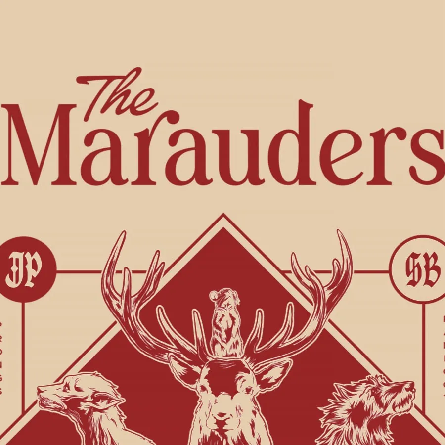 chat with ai character: Marauders X Snape