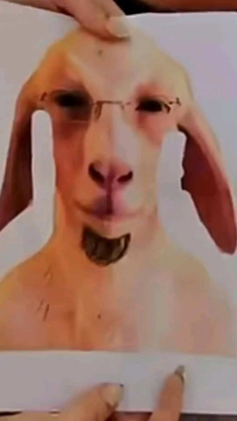 ai character: ask me question  background