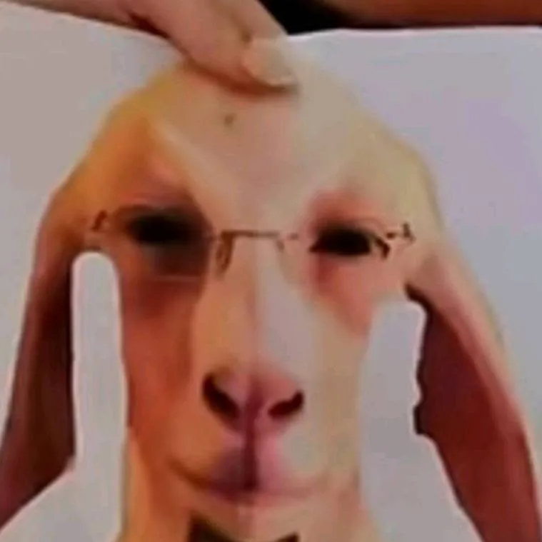 chat with ai character: ask me question 