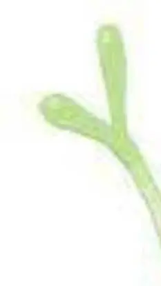 ai character: you'Re pipi background