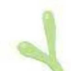 chat with ai character: you'Re pipi