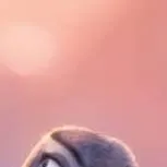 chat with ai character: JUDY HOPPS 