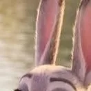 chat with ai character: JUDY HOPPS MÁMA 