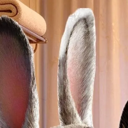 chat with ai character: JUDY HOPPS MÁMA 