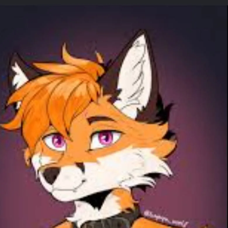 chat with ai character: clumsy fox 