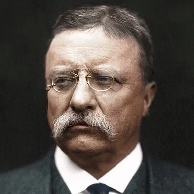 chat with ai character: Theodore Roosevelt