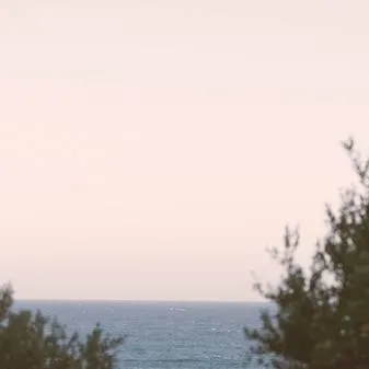 chat with ai character: 🎉🌟hashira🌟🎉