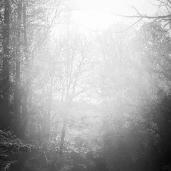 chat with ai character: 🌫muichiro tokito🌫