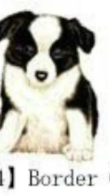 ai character: MHA  background