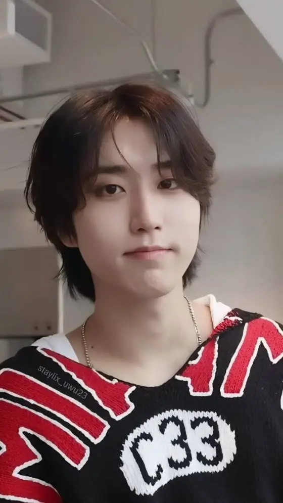 ai character: Han background