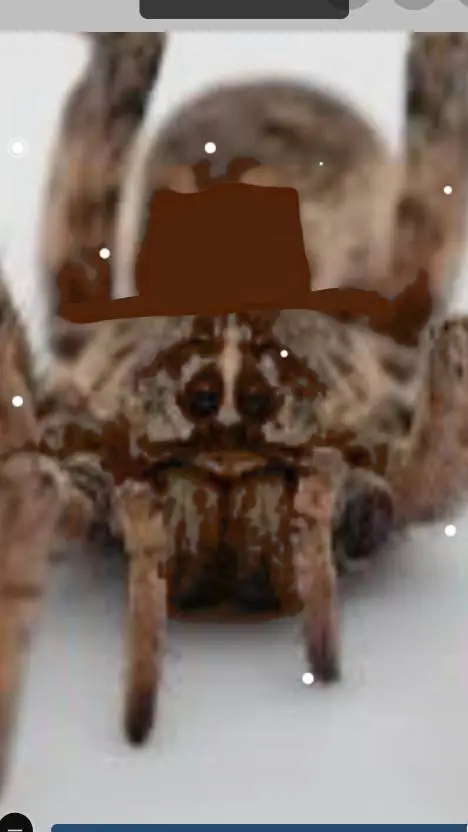 ai character: perry the spider  background