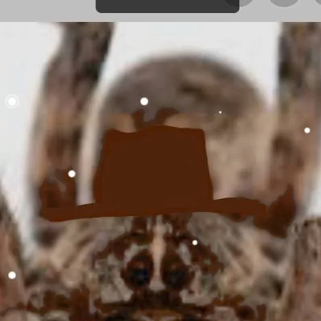 chat with ai character: perry the spider 