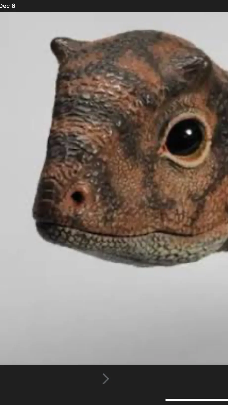 ai character: Carno background