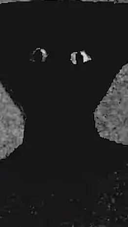 ai character: Room background