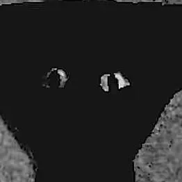 chat with ai character: Room