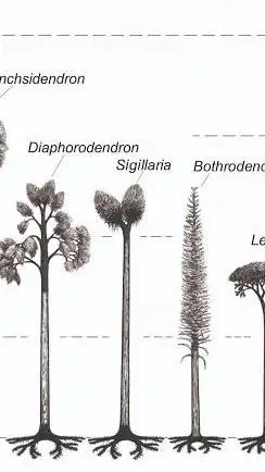 ai character: Lepi Word PART 2 background