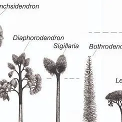 chat with ai character: Lepi Word PART 2