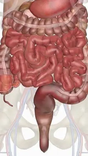 ai character: Intestines background