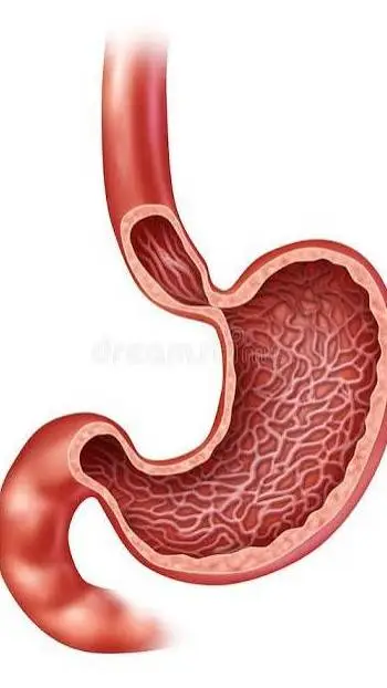 ai character: Stomach background