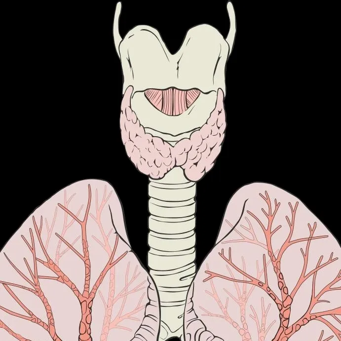 chat with ai character: Lungs