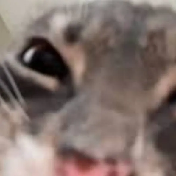 chat with ai character: *MADE 4 ME*