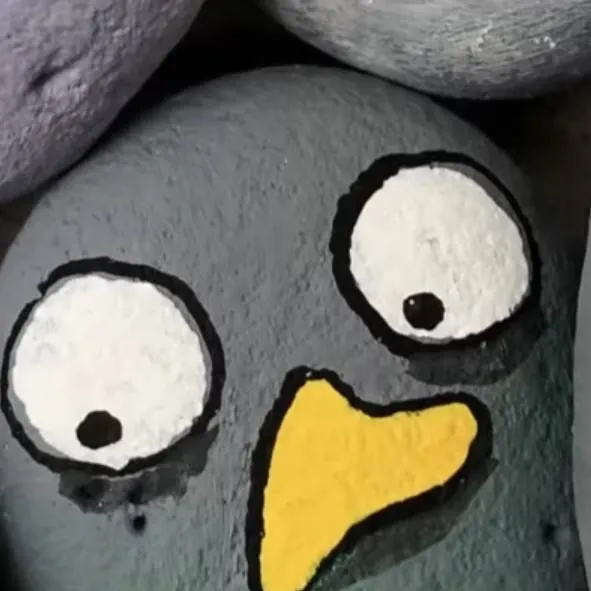 chat with ai character: Bird Rocks