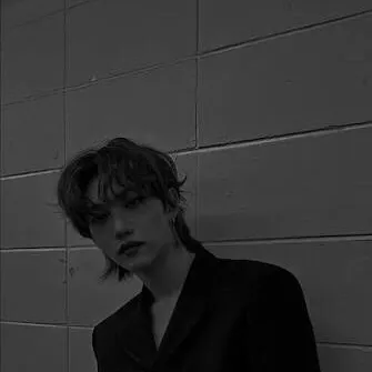 chat with ai character: Skz...?