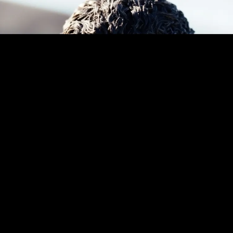 chat with ai character: Guy Gagne 