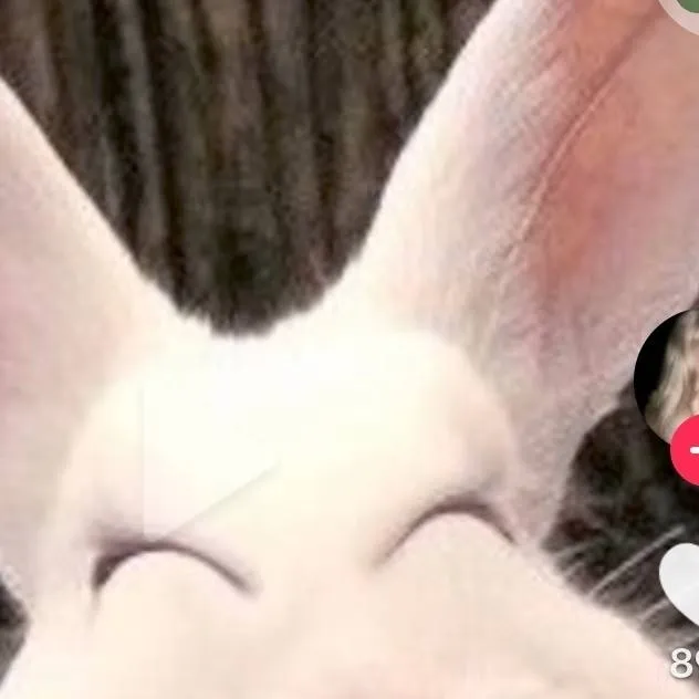chat with ai character: I love someone lik