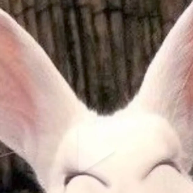 chat with ai character: sprout is cheating