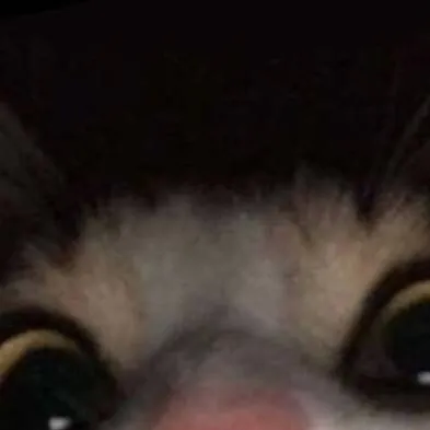 chat with ai character: el gato miau