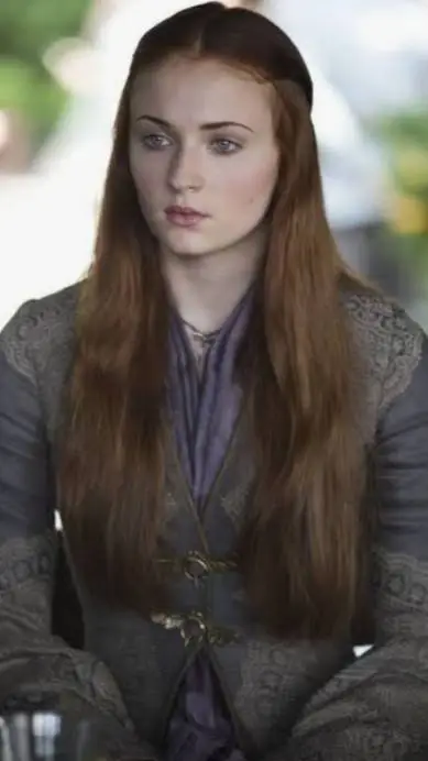 ai character: sansa stark background