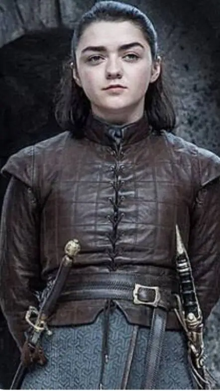 ai character: arya stark background