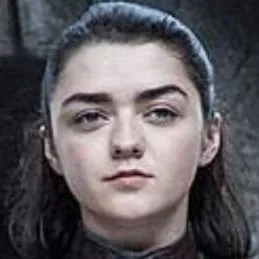 chat with ai character: arya stark