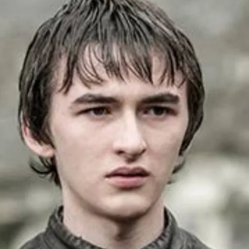 chat with ai character: bran stark 