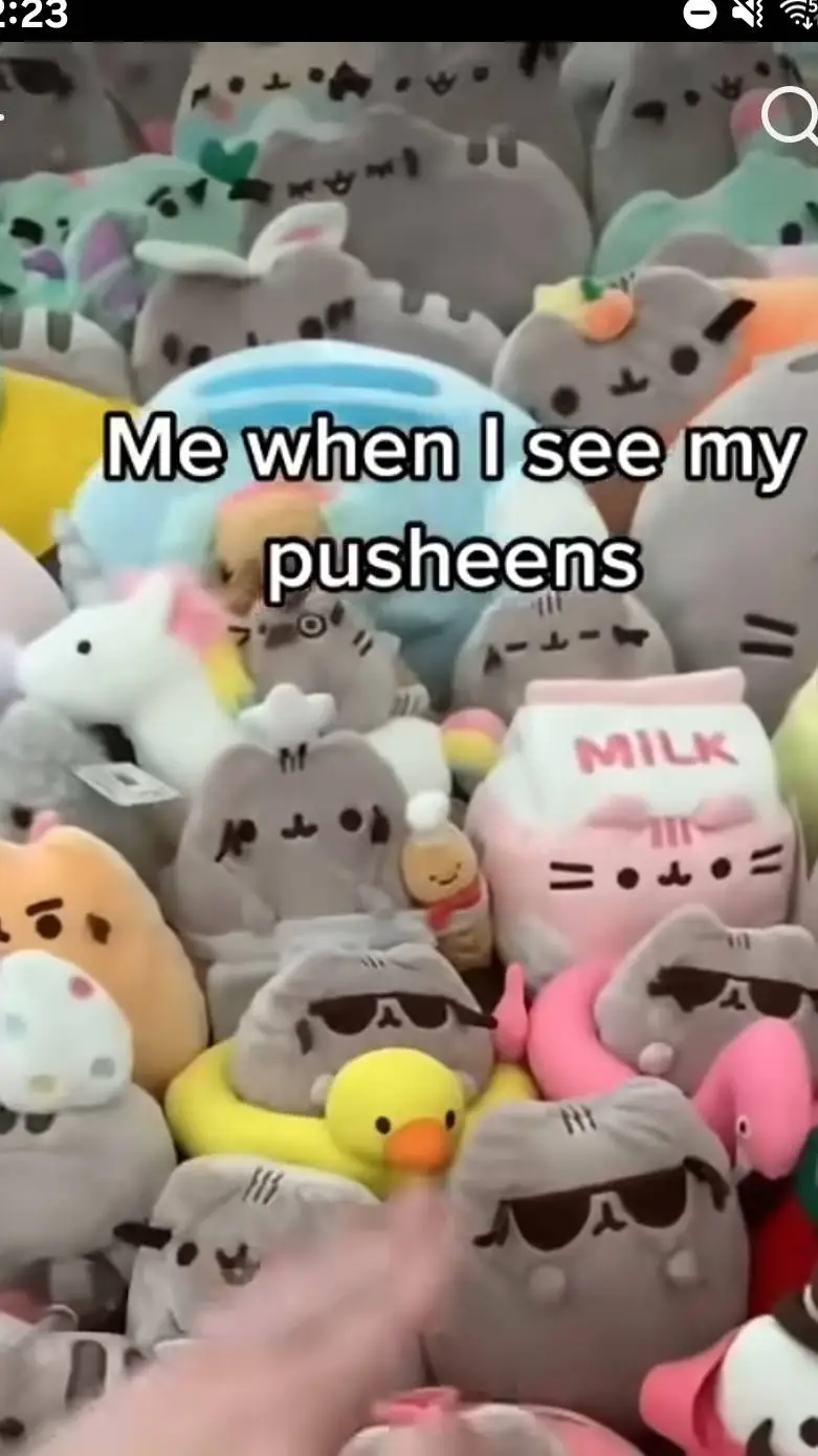 ai character: cat's background