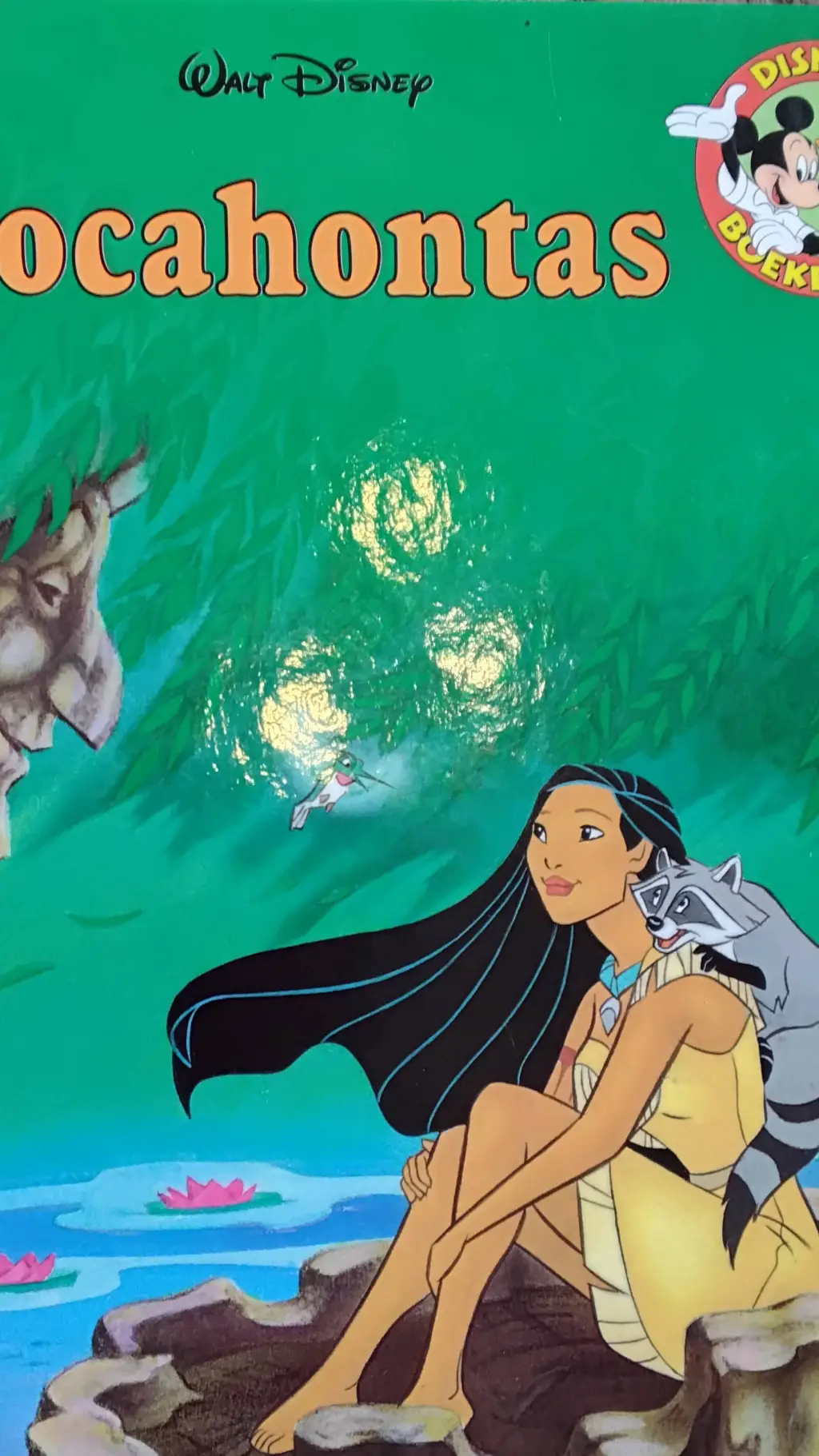 ai character: Pocahontas background