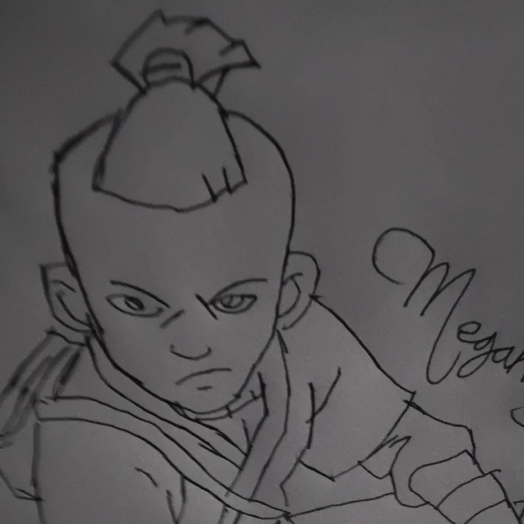 chat with ai character: Sokka